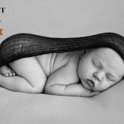 Portrait Masters 2020